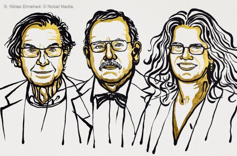 Nobel in Physics