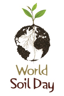 wsd-logo